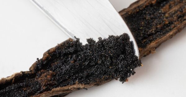 Vanilla Black TK Pastry Quality A - 19cm - Image 4